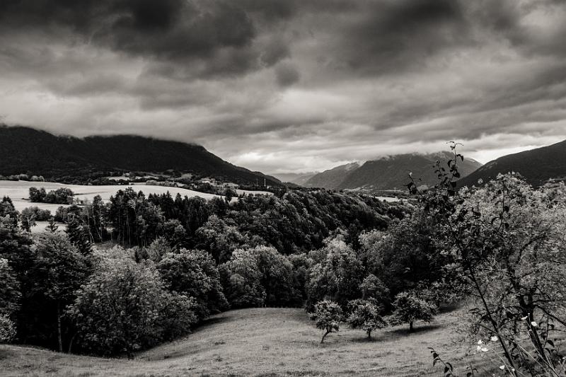 2017_06_04 (0123).jpg - Massif des Bauges